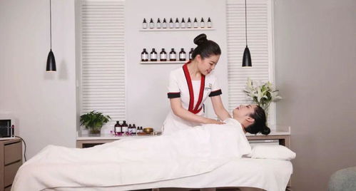美容師國家職業(yè)等級認定教材拍攝圓滿收官 技術(shù)標準與服務規(guī)范的視覺詮釋