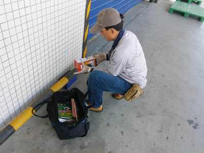 食品廠老鼠防治方案，早用早省心 清潔服務(wù)助您無(wú)憂經(jīng)營(yíng)