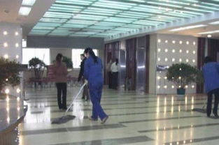 濟(jì)寧軟木地板選購與清潔服務(wù)全指南 優(yōu)質(zhì)品牌推薦與專業(yè)維護(hù)建議